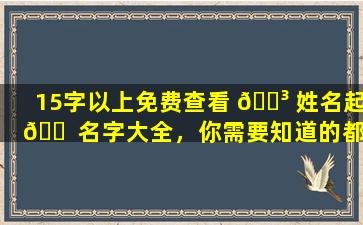 15字以上免费查看 🌳 姓名起 🐠 名字大全，你需要知道的都在这里！